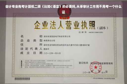 会计专业有考计算机二级（比如C语言）的必要吗,从事审计工作用不用考一个什么证