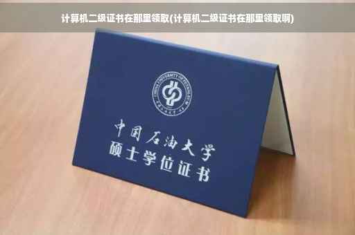 计算机二级证书在那里领取(计算机二级证书在那里领取啊)
