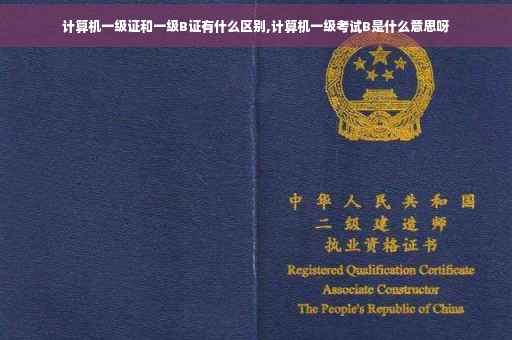 计算机一级证和一级B证有什么区别,计算机一级考试B是什么意思呀