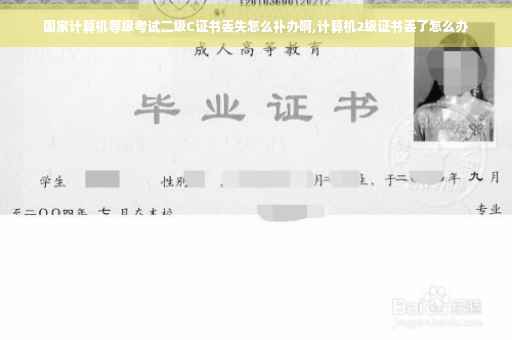 国家计算机等级考试二级C证书丢失怎么补办啊,计算机2级证书丢了怎么办
