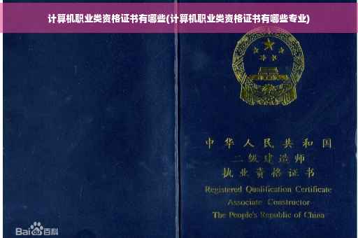 计算机职业类资格证书有哪些(计算机职业类资格证书有哪些专业)