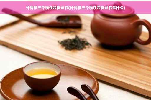 计算机三个模块合格证书(计算机三个模块合格证书是什么)