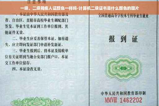 一级、二级残疾人证颜色一样吗-计算机二级证书是什么颜色的图片