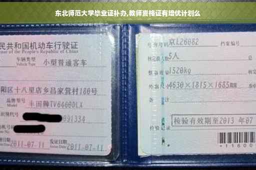 东北师范大学毕业证补办,教师资格证有培优计划么