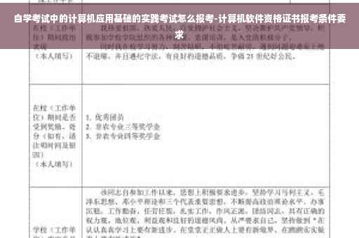 自学考试中的计算机应用基础的实践考试怎么报考-计算机软件资格证书报考条件要求 自学考试中的计算机应用基础的实践考试怎么报考-计算机软件资格证书报考条件要求
