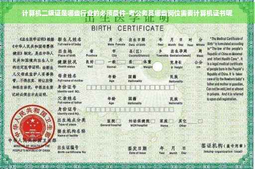 计算机二级证是哪些行业的必须条件-考公务员哪些岗位需要计算机证书呢