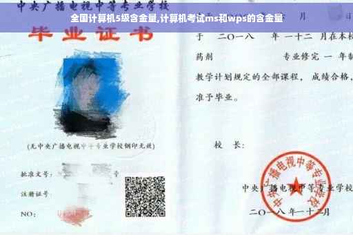 全国计算机5级含金量,计算机考试ms和wps的含金量