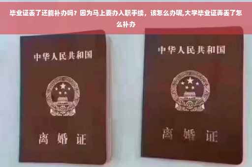 毕业证丢了还能补办吗？因为马上要办入职手续，该怎么办呢,大学毕业证弄丢了怎么补办
