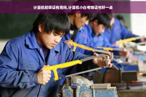 计算机初级证有用吗,计算机小白考啥证书好一点