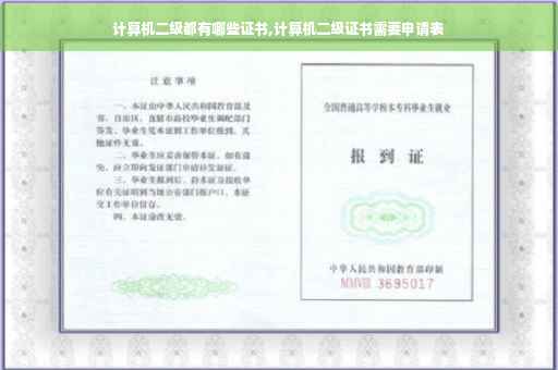 计算机二级都有哪些证书,计算机二级证书需要申请表