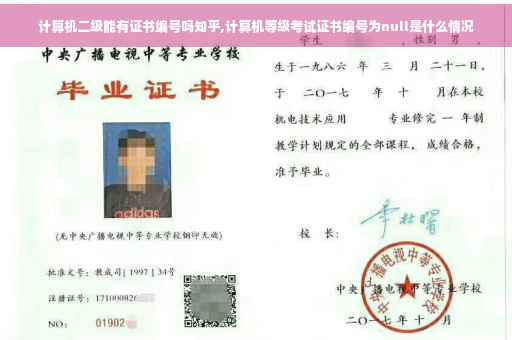 计算机二级能有证书编号吗知乎,计算机等级考试证书编号为null是什么情况 计算机二级能有证书编号吗知乎,计算机等级考试证书编号为null是什么情况