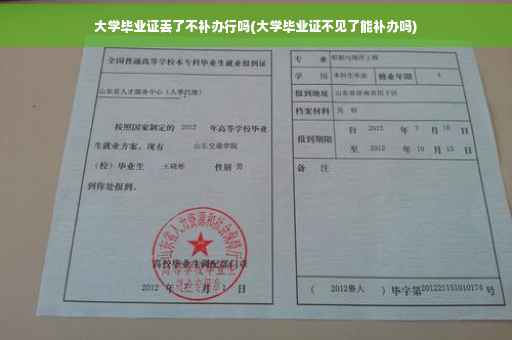 大学毕业证丢了不补办行吗(大学毕业证不见了能补办吗)