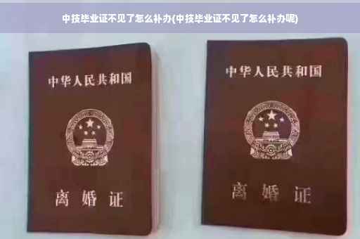 中技毕业证不见了怎么补办(中技毕业证不见了怎么补办呢)