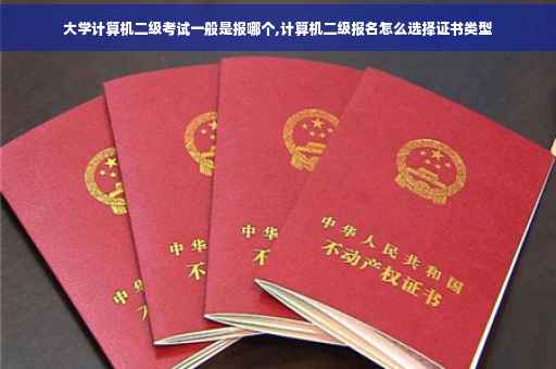 大学计算机二级考试一般是报哪个,计算机二级报名怎么选择证书类型