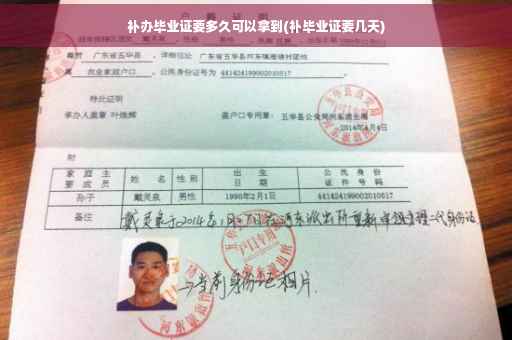 补办毕业证要多久可以拿到(补毕业证要几天)