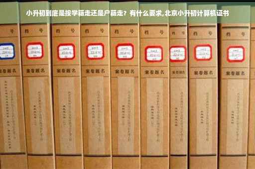 小升初到底是按学籍走还是户籍走？有什么要求,北京小升初计算机证书