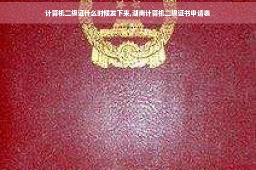 计算机二级证什么时候发下来,湖南计算机二级证书申请表 计算机二级证什么时候发下来,湖南计算机二级证书申请表