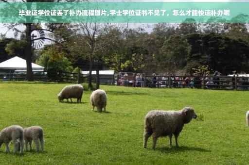毕业证学位证丢了补办流程图片,学士学位证书不见了，怎么才能快速补办呢