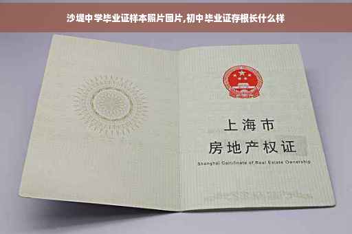 沙堤中学毕业证样本照片图片,初中毕业证存根长什么样