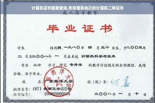 计算机证书哪里查询,怎样查看自己的计算机二级证书