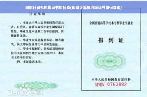国家计算机四级证书如何查(国家计算机四级证书如何查询)