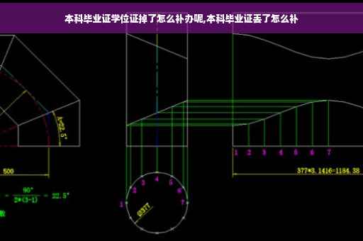 本科毕业证学位证掉了怎么补办呢,本科毕业证丢了怎么补