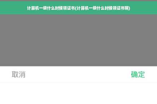 计算机一级什么时候领证书(计算机一级什么时候领证书啊)