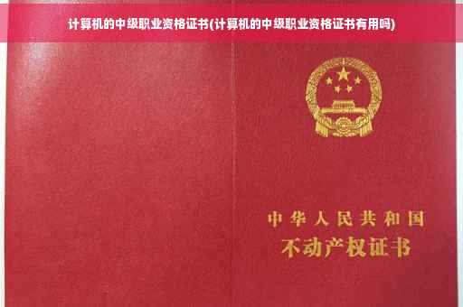 计算机的中级职业资格证书(计算机的中级职业资格证书有用吗)