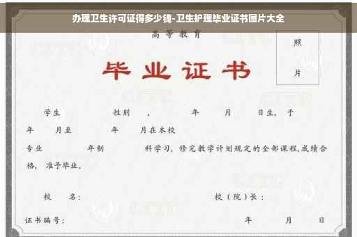 办理卫生许可证得多少钱-卫生护理毕业证书图片大全