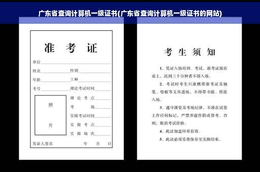 广东省查询计算机一级证书(广东省查询计算机一级证书的网站)