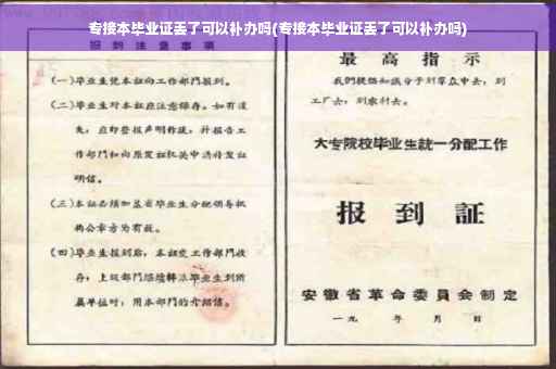 专接本毕业证丢了可以补办吗(专接本毕业证丢了可以补办吗)