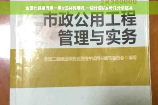 全国计算机等级一级b证书有用吗,一级计算机B考几分拿证书
