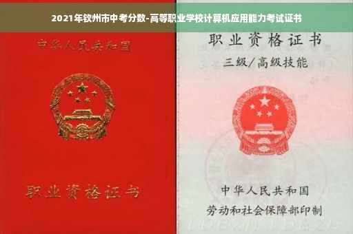 2021年钦州市中考分数-高等职业学校计算机应用能力考试证书