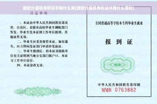 微软计算机专利证书有什么用(微软计算机专利证书有什么用处)