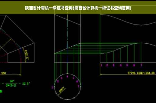 陕西省计算机一级证书查询(陕西省计算机一级证书查询官网)