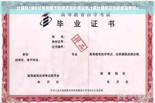计算机1级B证书是属于初级还是中级证书,1级计算机证书能报高考吗a