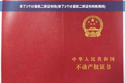 拿了2个计算机二级证书吗(拿了2个计算机二级证书吗有用吗)