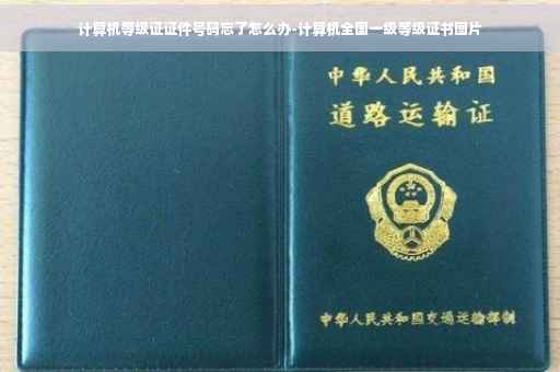计算机等级证证件号码忘了怎么办-计算机全国一级等级证书图片