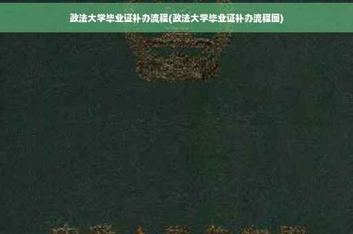 政法大学毕业证补办流程(政法大学毕业证补办流程图)