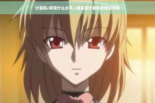 计算机c级是什么水平,c语言算计算机资格证书吗