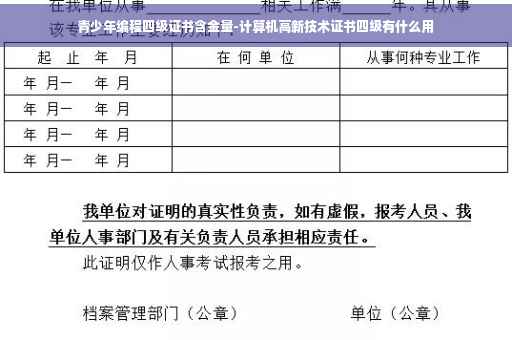 青少年编程四级证书含金量-计算机高新技术证书四级有什么用