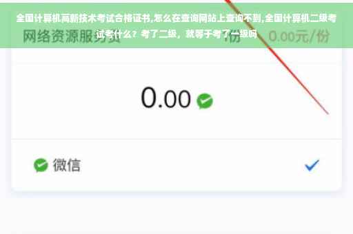 全国计算机高新技术考试合格证书,怎么在查询网站上查询不到,全国计算机二级考试考什么？考了二级，就等于考了一级吗
