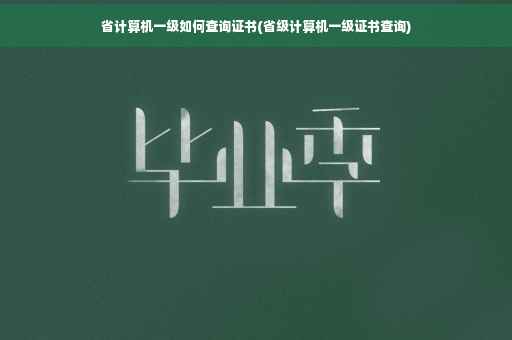 省计算机一级如何查询证书(省级计算机一级证书查询)