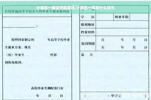 计算机一级证书能买吗,计算机一级发什么证书