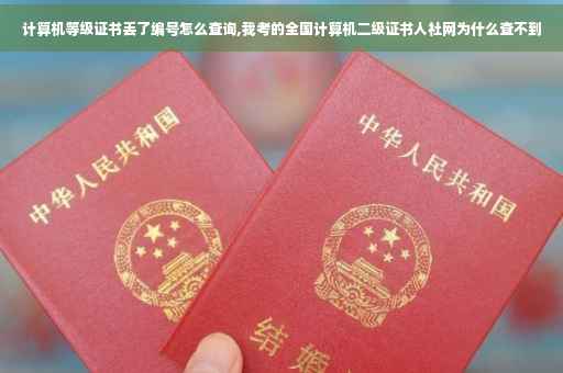 计算机等级证书丢了编号怎么查询,我考的全国计算机二级证书人社网为什么查不到