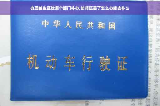 办理独生证找哪个部门补办,幼师证丢了怎么办能去补么