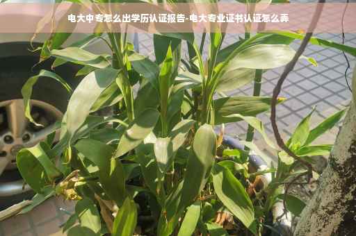 电大中专怎么出学历认证报告-电大专业证书认证怎么弄