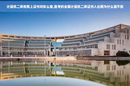 计算机二级有网上证书吗怎么查,我考的全国计算机二级证书人社网为什么查不到