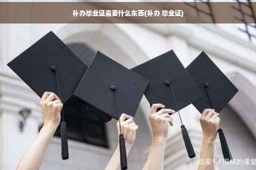 补办毕业证需要什么东西(补办 毕业证)