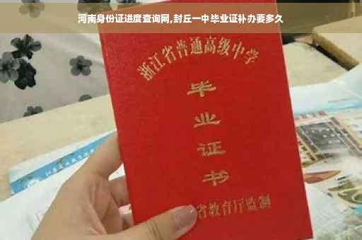 河南身份证进度查询网,封丘一中毕业证补办要多久